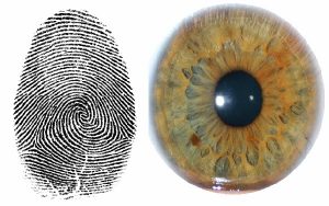 Iris Scanning Technology vs. Finger Print Scanning 