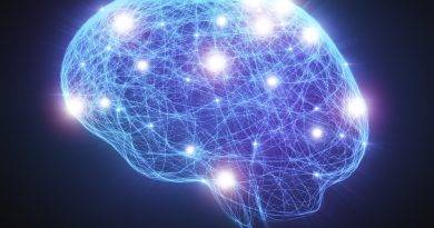 Neural Network Human Brain